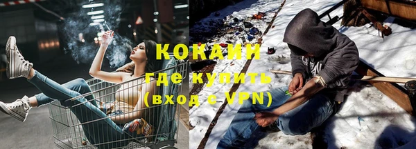 хмурый Аркадак