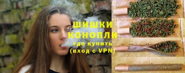 гашик Нягань